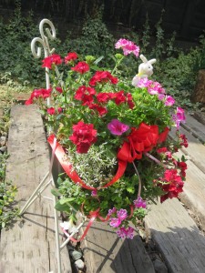 30120867_1663587780385948_56594880_n