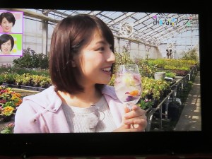 30122376_1656950371049689_1512205585_o