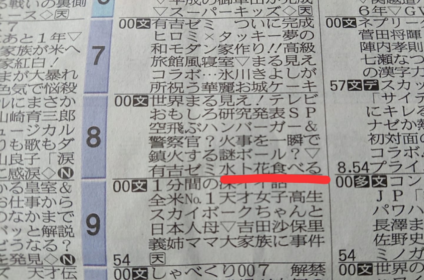 本日の世界丸見えテレビ！！