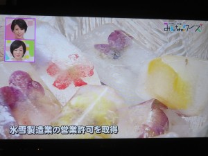 30176426_1656955804382479_1038890730_o