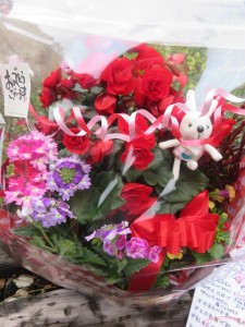 30180021_1666672886744104_315106612_n