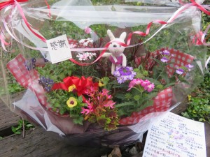 30232689_1666672866744106_1633874502_o