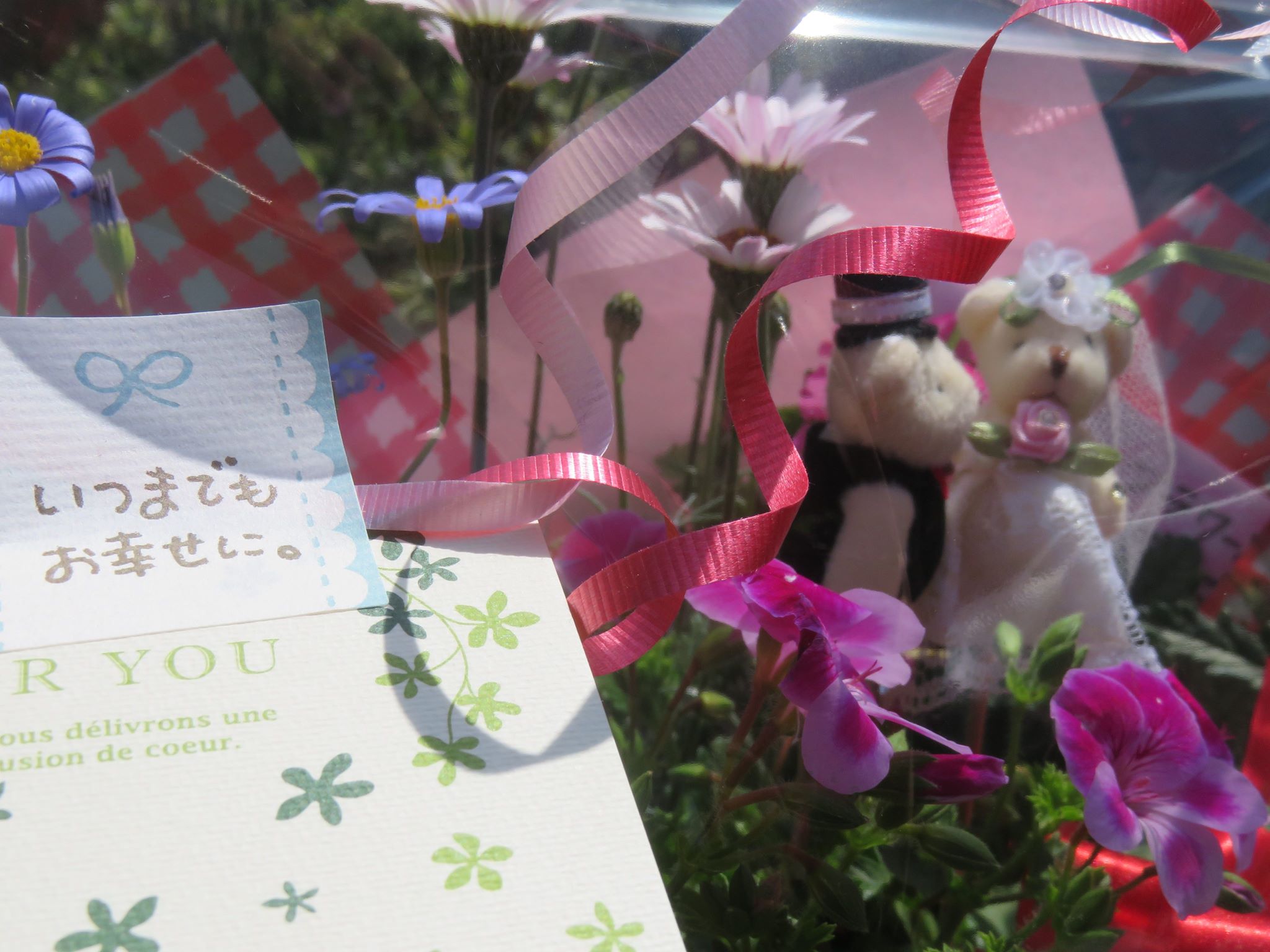 フラワーンダフルギフトも続々☆