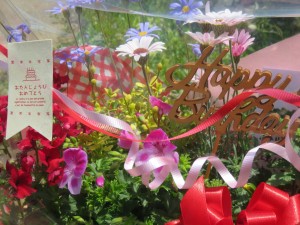 30768619_1670390516372341_1289065082_o