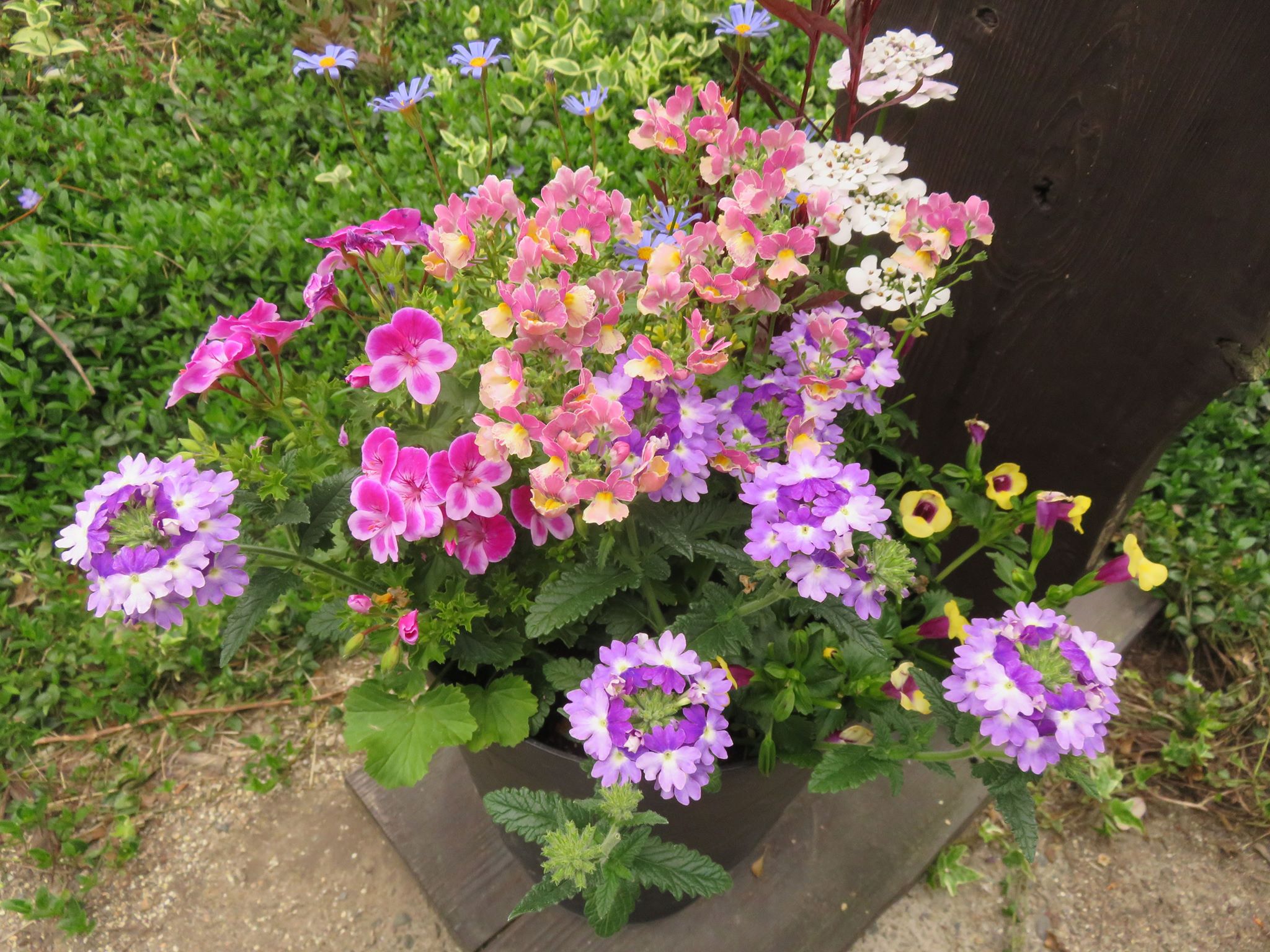 なんとなく・・・♪