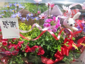 30772092_1670390476372345_1811334855_o