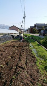 30776615_1673615689383157_346712448_n