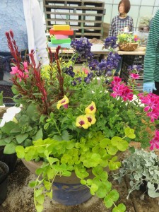 30784589_1680337755377617_2109114277_n