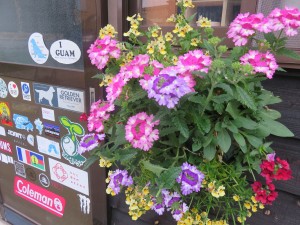 30825737_1673618832716176_1499597724_o