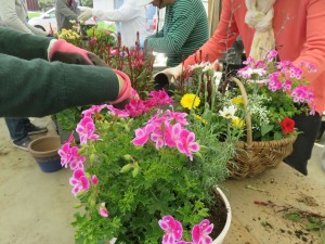 30917358_1680337352044324_129054653_o