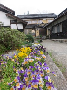 31016881_1673618859382840_412026109_n