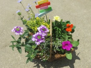 31030586_1680337395377653_1970565546_o