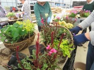 31090135_1680337355377657_1567951117_o