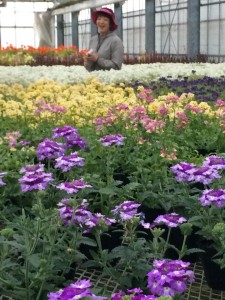 31184660_1227345887402176_9099575819452131411_n