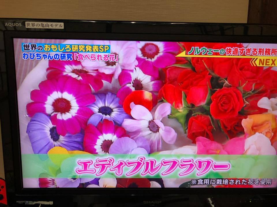 テレビをご視聴ありがとうございました！！