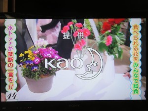 31689161_1681815568563169_1072116342087221248_n