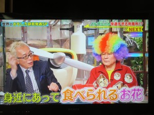 31716598_1681814221896637_2930632533123006464_n