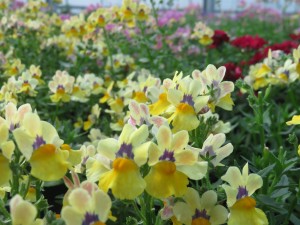 31886630_1686336094777783_2371073817159139328_o