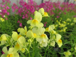 31890389_1686335381444521_3261683716035969024_o