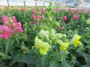 31900189_1686335828111143_5562493053643522048_o