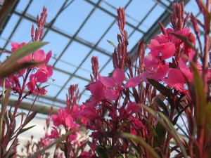 31936547_1686336128111113_5333997692529934336_o