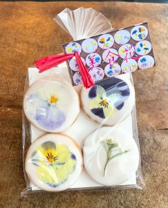 31944388_1687385214672871_1424690563898146816_n