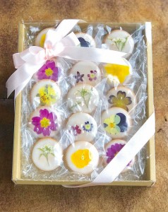 31944623_1687385198006206_9129285624275140608_n