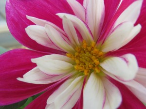 31946385_1686335394777853_4523907997977542656_o