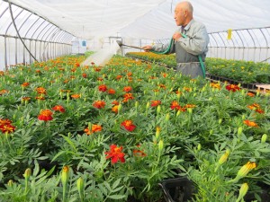 31947123_1686335698111156_1790761621652504576_o