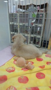 31948891_1687384374672955_8967703650315010048_n