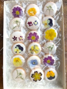 31958287_1687386001339459_7826529435313504256_n