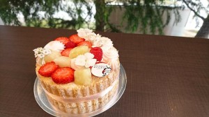 32215185_1693523610725698_3061002636145721344_n