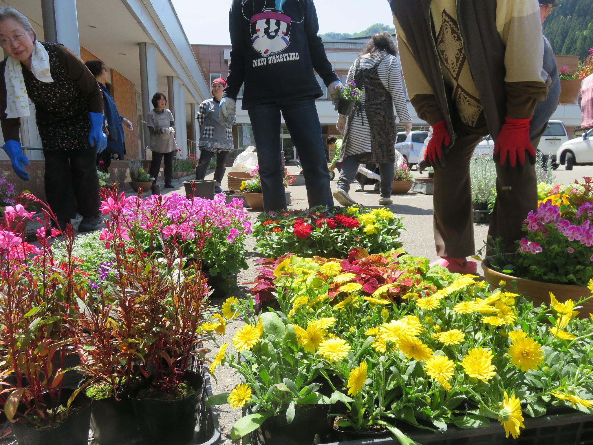 寄せ植え教室シーズンイン☆