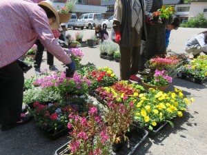 32215532_1693542170723842_4212237425491050496_n