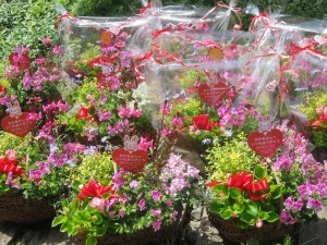 32258035_1693718997372826_2128679426479620096_o