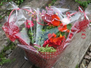 32260967_1694239167320809_5726360014629634048_n