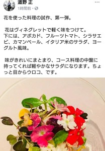 32264172_1693523587392367_1719583632621830144_n