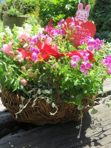 32293725_1693541860723873_6581076395072421888_n