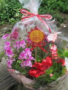 32293764_1694239197320806_6214684726599352320_n