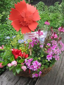 32294470_1694239493987443_3389518272230588416_n