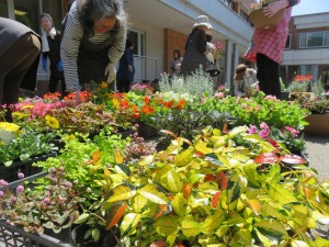 32294663_1693541824057210_1650717873594695680_n