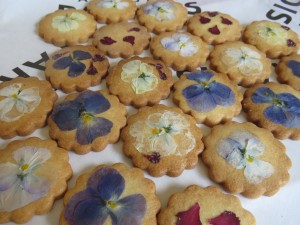 32313707_1694239147320811_8304949570446557184_n