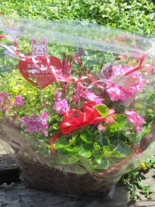 32313921_1693541847390541_7196052253717823488_n