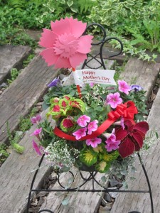 32446772_1694239433987449_4720347574324690944_n