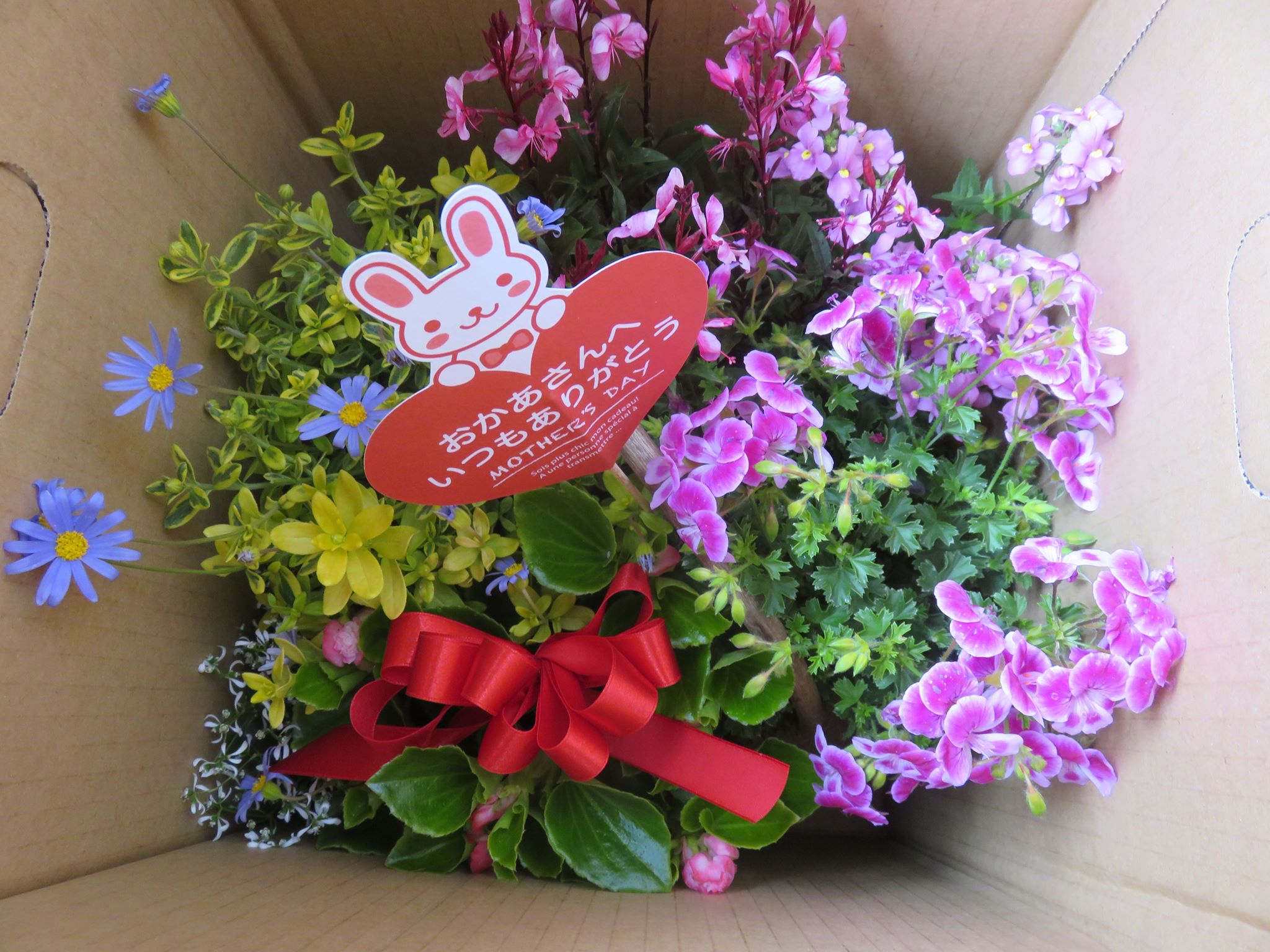母の日御礼☆