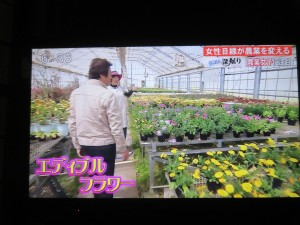 32506444_1698853010192758_5514302214912344064_n