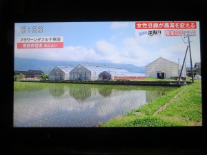 32588151_1698853043526088_5732906541221150720_n