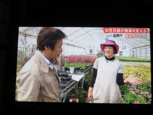 32591532_1698853000192759_7922715026043961344_n