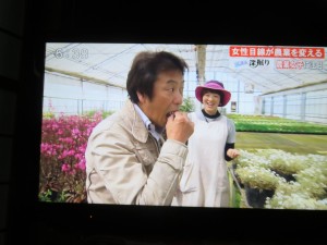 32603687_1698853813526011_7481226618904510464_n