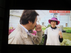 32652388_1698856103525782_8664210622545657856_n